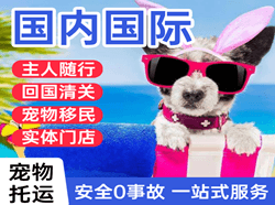 昭苏天马航空邮寄国际宠物托运 【国